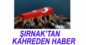 ŞIRNAK'TAN KAHREDEN HABER