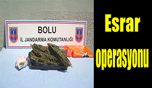 Bolu'da esrar operasyonu...