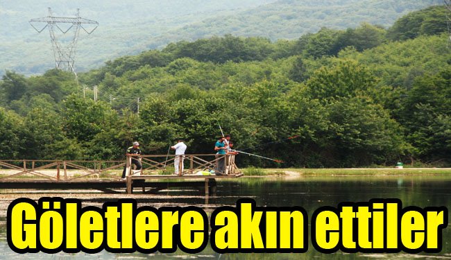 Havaların ısınmasıyla göletler doldu taştı...