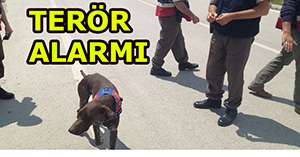Jandarmadan köpekli terör araması