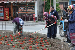 Karacasu'da çiçekler açıyor...