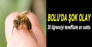 BOLU'DA 20 ÖĞRENCİYİ ARI SOKTU