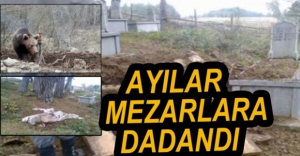 AYILAR MEZARLARA DADANDI