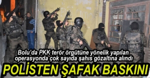 POLİSTEN ŞAFAK VAKTİ PKK OPERASYONU