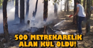 500 METREKARELİK ALAN KÜL OLDU..