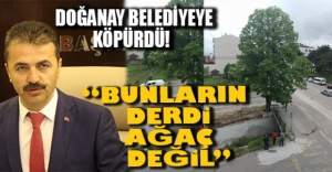 "BUNLARIN DERDİ HER ŞEYE KARŞITLIK"