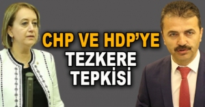 CHP VE HDP'YE TEZKERE TEPKİSİ