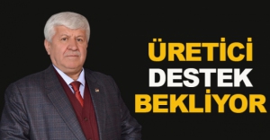 "ÜRETİCİYE YAPILAN DESTEK YETERLİ DEĞİL"