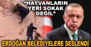 "HAYVANLARIN YERİ SOKAK DEĞİL"