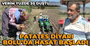PATATES DİYARI BOLU'DA HASAT BAŞLADI...