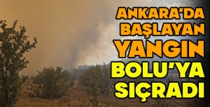 ANKARA'DA BAŞLAYAN YANGIN BOLU'YA SIÇRADI