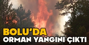 BOLU'DA ORMAN YANGINI ÇIKTI