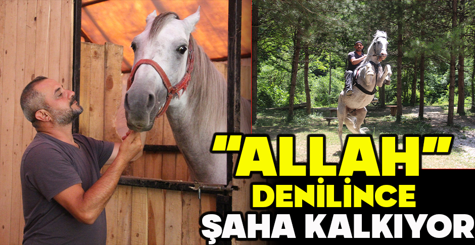 “ALLAH” DENİLİNCE ŞAHA KALKIYOR