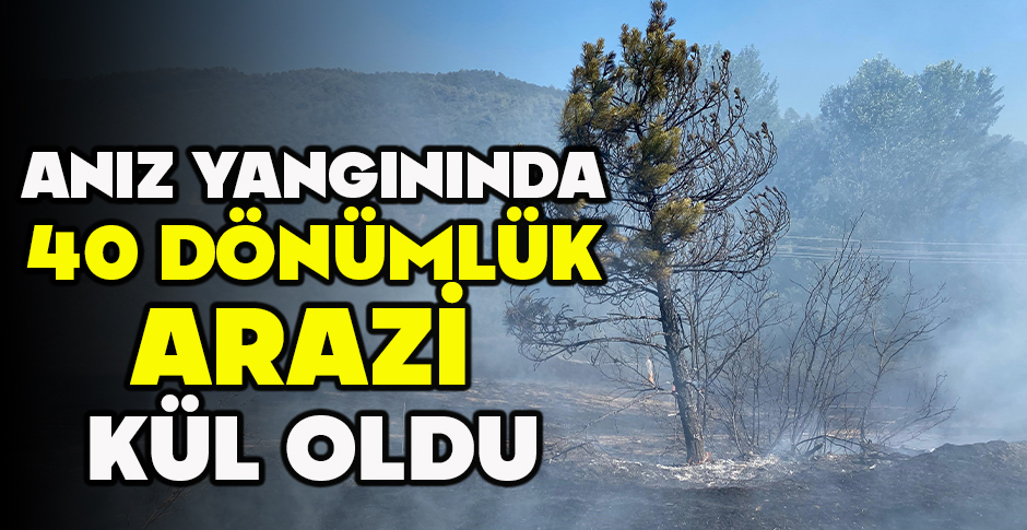 ANIZ YANGININDA 40 DÖNÜMLÜK ARAZİ KÜL OLDU