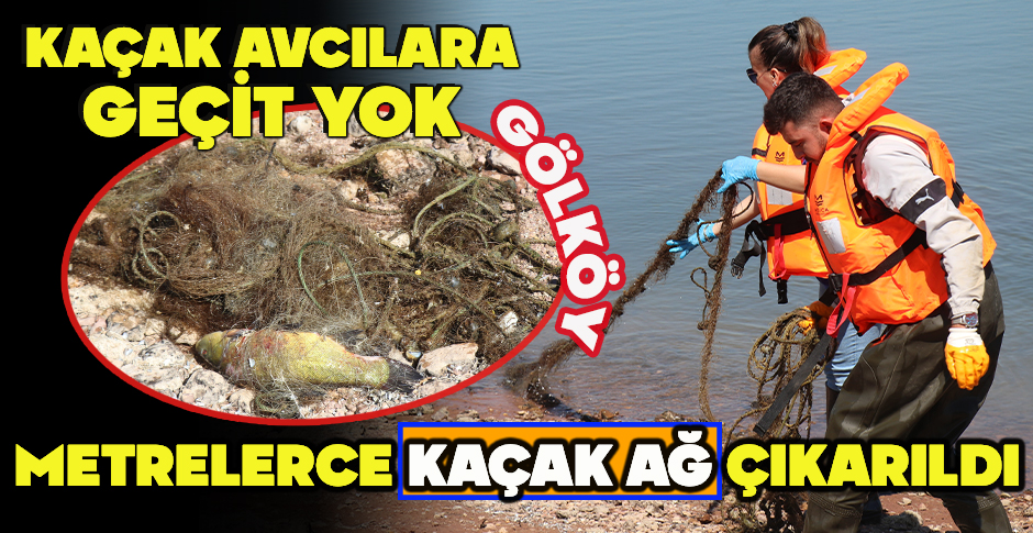 BOLU'DA KAÇAK AVCILARA GEÇİT YOK: GÖLKÖY'DEN METRELERCE KAÇAK AĞ ÇIKARILDI