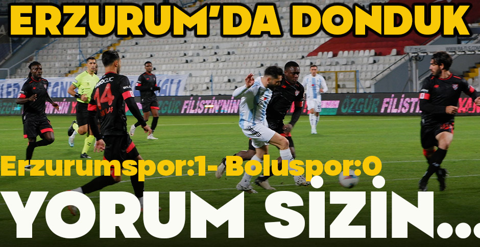 ERZURUM’DA DONDUK