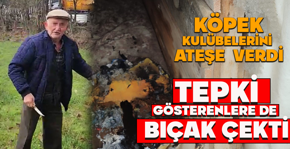 KÖPEK KULÜBELERİNİ  ATEŞE VERDİ, TEPKİ GÖSTERENLERE DE  BIÇAK ÇEKTİ