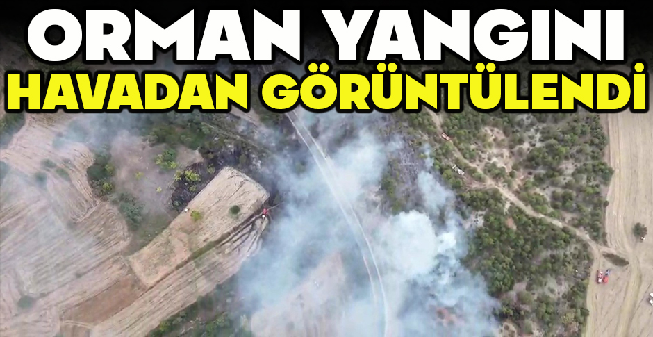 ORMAN YANGINI HAVADAN GÖRÜNTÜLENDİ