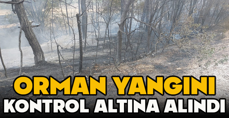 ORMAN YANGINI KONTROL ALTINA ALINDI