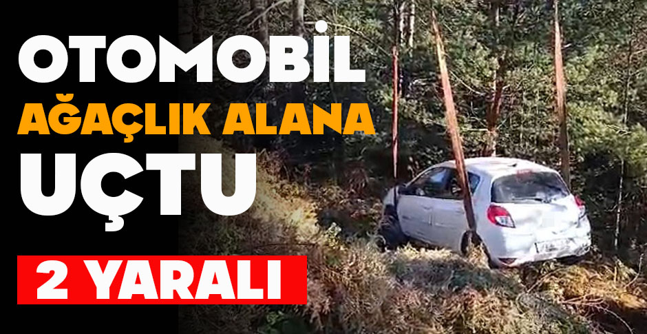 OTOMOBİL AĞAÇLIK ALANA UÇTU: 2 YARALI
