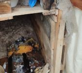 KÖPEK KULÜBELERİNİ  ATEŞE VERDİ, TEPKİ GÖSTERENLERE DE  BIÇAK ÇEKTİ