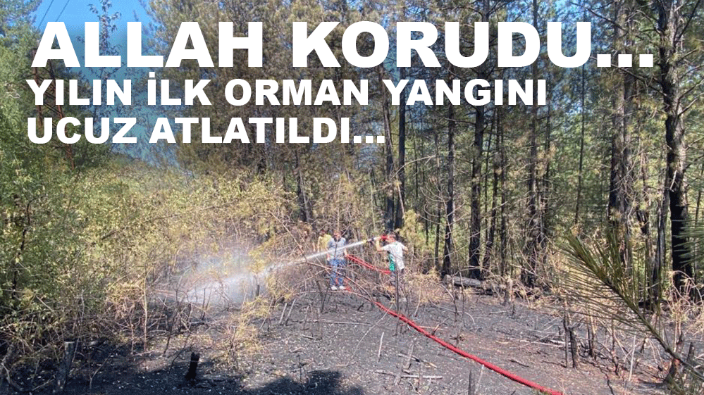 ALLAH KORUDU... YILIN İLK ORMAN YANGINI UCUZ ATLATILDI...