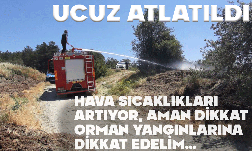 HAVA SICAKLIKLARI ARTIYOR.. ORMAN YANGINLARINA DİKKAT...