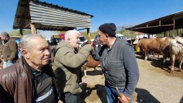704 KİLOLUK DANA İÇİN DAKİKALARCA PAZARLIK YAPTILAR
