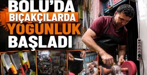 BOLU'DA BIÇAKÇILARDA YOĞUNLUK BAŞLADI