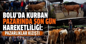 BOLU'DA KURBAN PAZARINDA SON GÜN HAREKETLİLİĞİ: PAZARLIKLAR KIZIŞTI