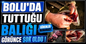 BOLU'DA TUTTUĞU BALIĞI GÖRÜNCE ŞOK OLDU...