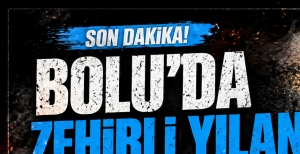 BOLU'DA ZEHİRLİ YILAN BULUNDU.... ORMAN İŞÇİLERİ FARK ETTİ...