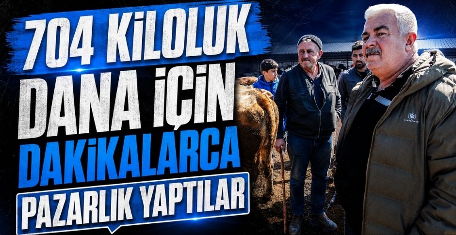 704 KİLOLUK DANA İÇİN DAKİKALARCA PAZARLIK YAPTILAR