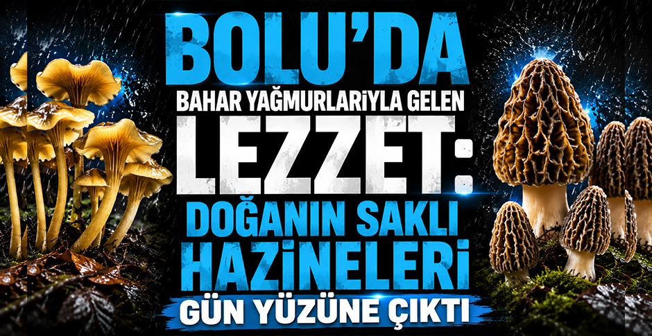 BOLU'DA BAHAR YAĞMURLARIYLA GELEN LEZZET: DOĞANIN SAKLI HAZİNELERİ GÜN YÜZÜNE ÇIKTI
