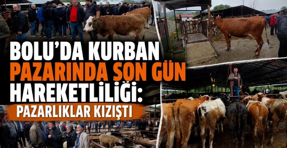 BOLU’DA KURBAN PAZARINDA SON GÜN HAREKETLİLİĞİ: PAZARLIKLAR KIZIŞTI