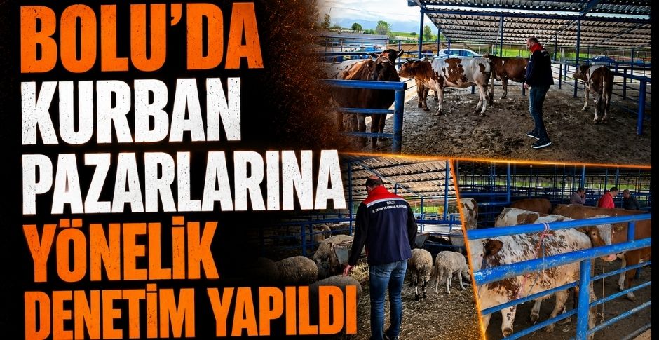 BOLU'DA KURBAN PAZARLARINA YÖNELİK DENETİM YAPILDI