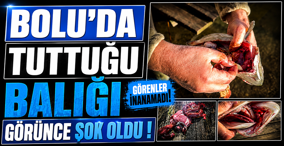 BOLU'DA TUTTUĞU BALIĞI GÖRÜNCE ŞOK OLDU...