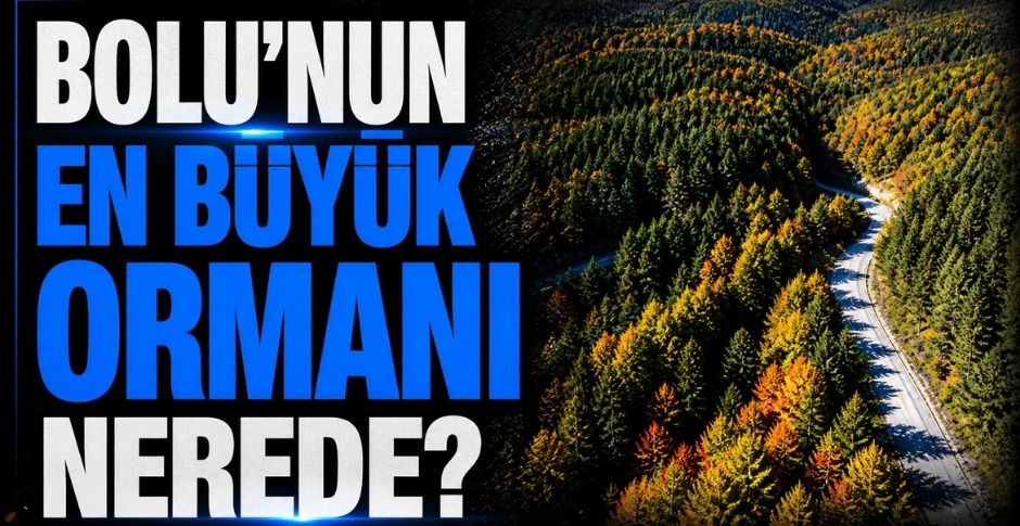 BOLU'NUN EN BÜYÜK ORMANI NEREDE?
