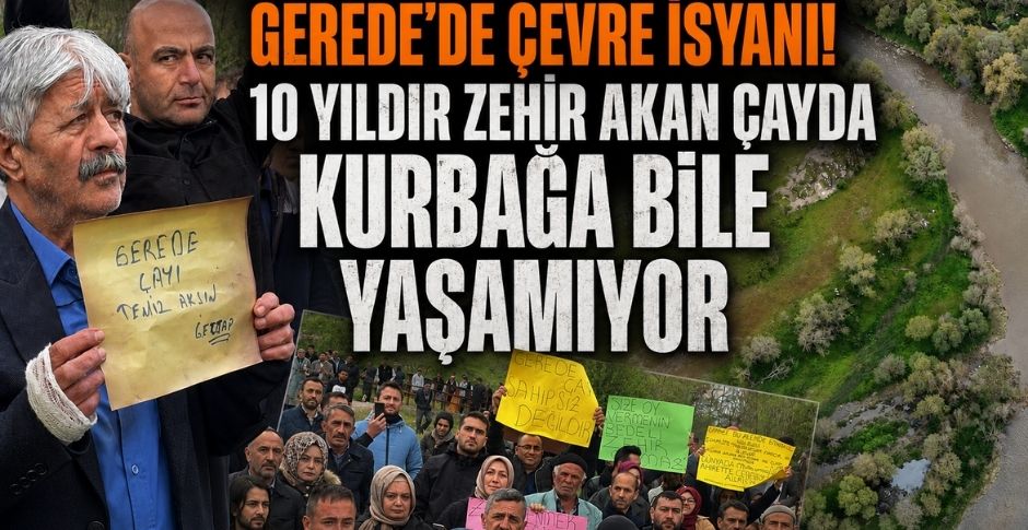 GEREDE'DE ÇEVRE İSYANI! 10 YILDIR ZEHİR AKAN ÇAYDA KURBAĞA BİLE YAŞAMIYOR
