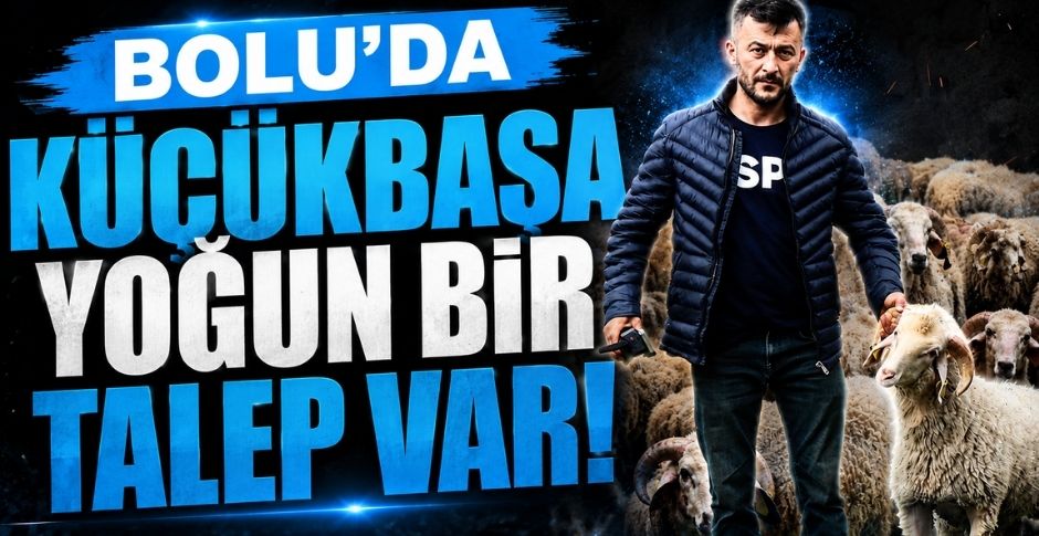 BOLU'DA KÜÇÜKBAŞA YOĞUN BİR TALEP VAR