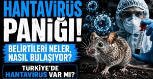HANTAVİRÜS PANİĞİ! BELİRTİLERİ NELER, NASIL BULAŞIYOR? TÜRKİYE'DE HANTAVİRÜS VAR MI?