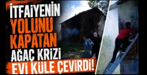 İTFAİYENİN YOLUNU KAPATAN AĞAÇ KRİZİ EVİ KÜLE ÇEVİRDİ